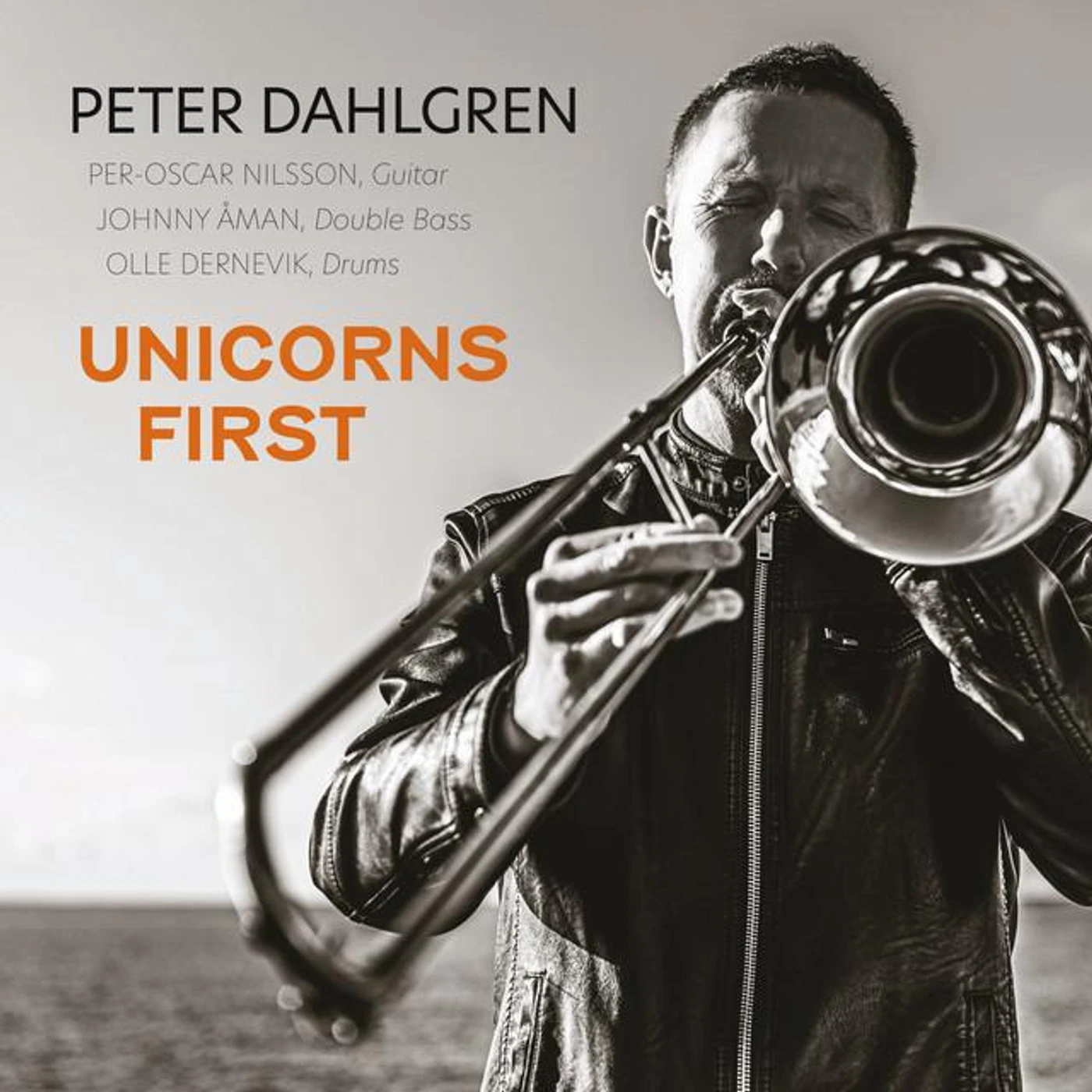 Peter Dahlgren Brand Page