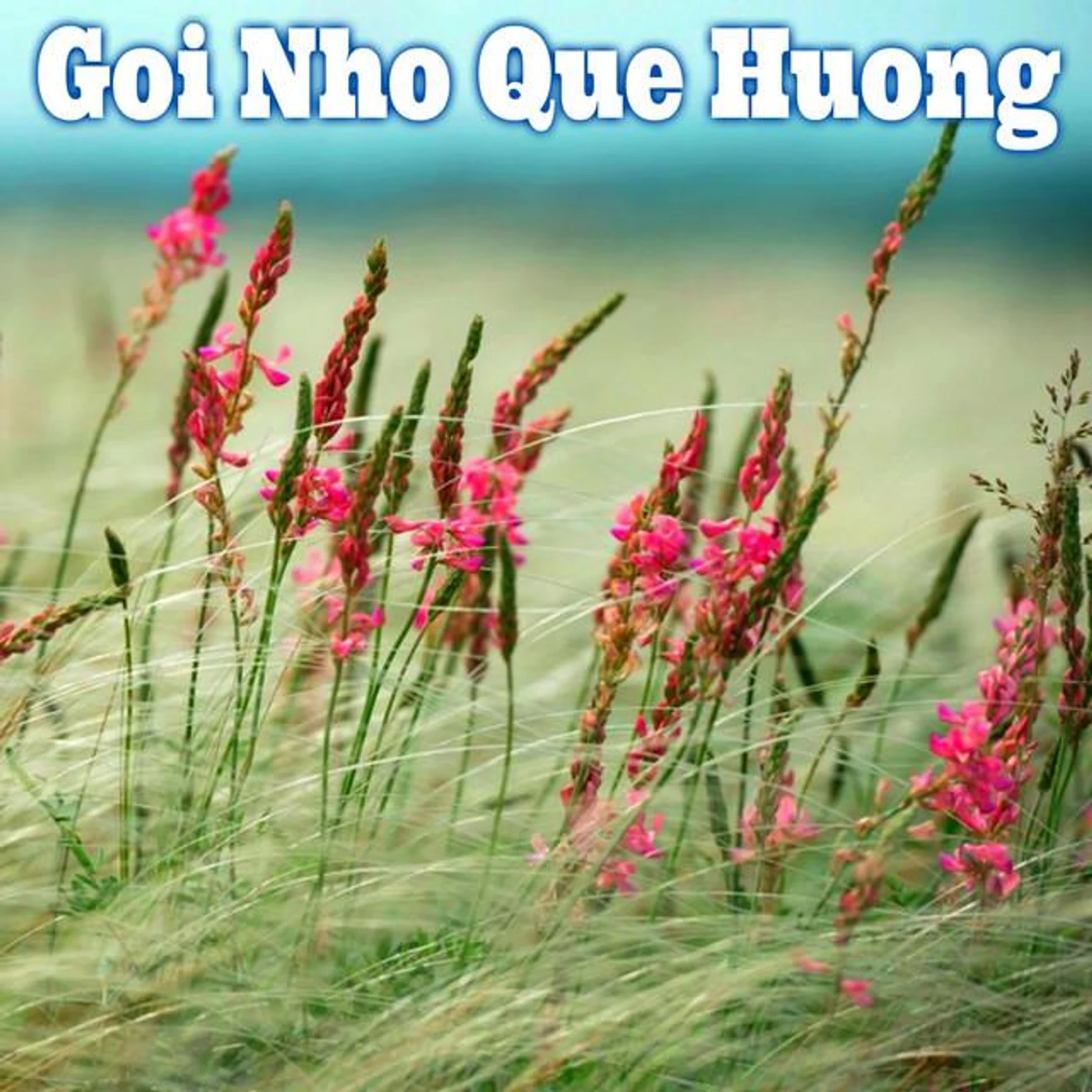 Phong Nguyen