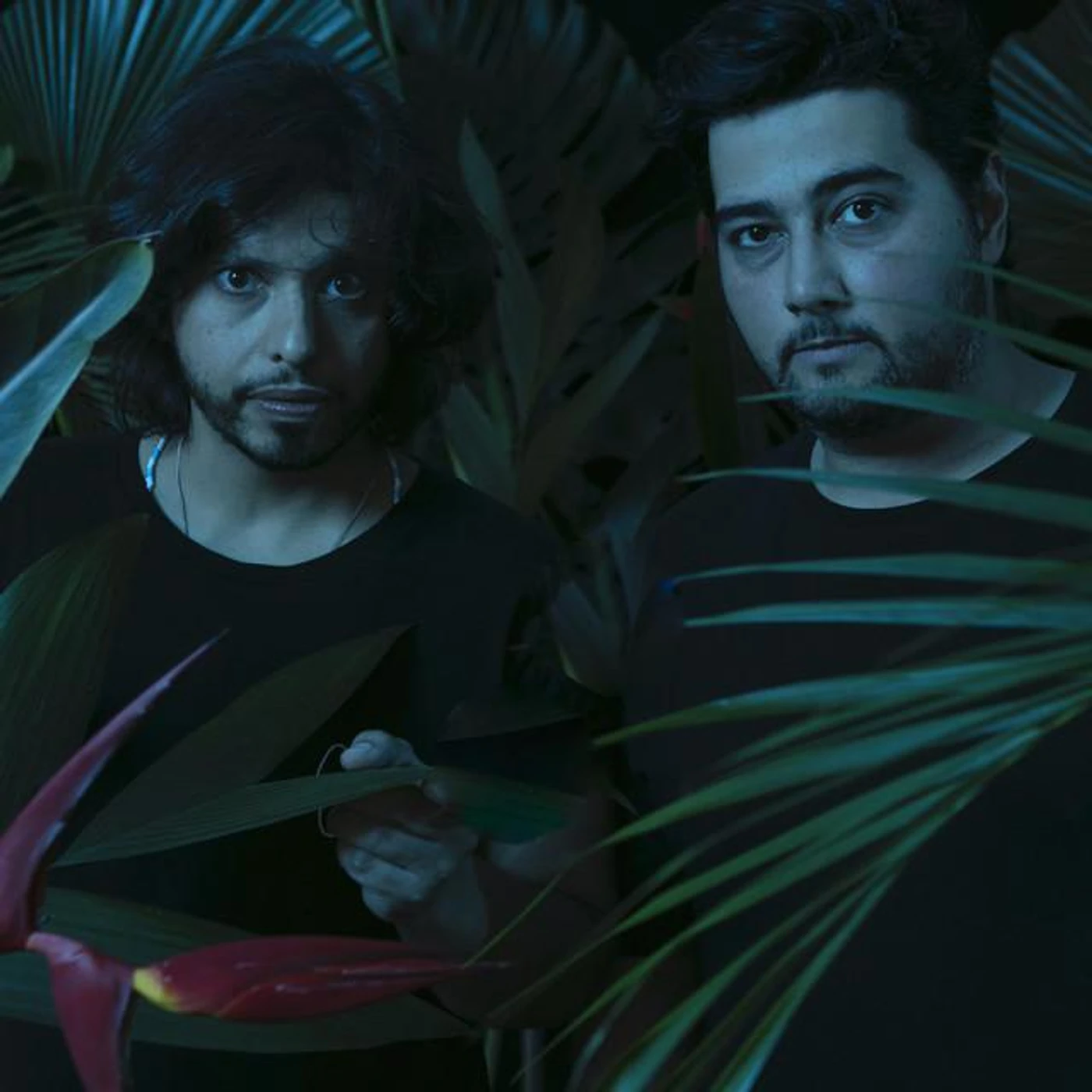 Phillipi & Rodrigo Brand Page