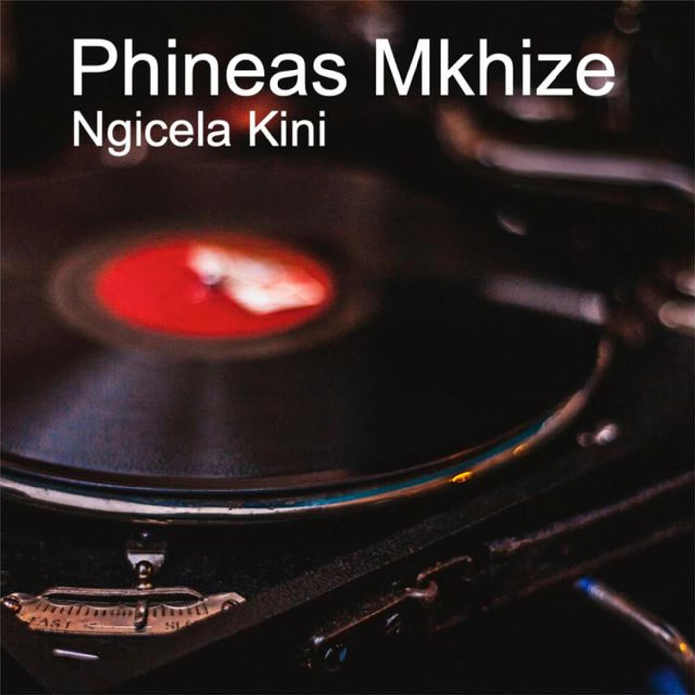 Phineas Mkhize