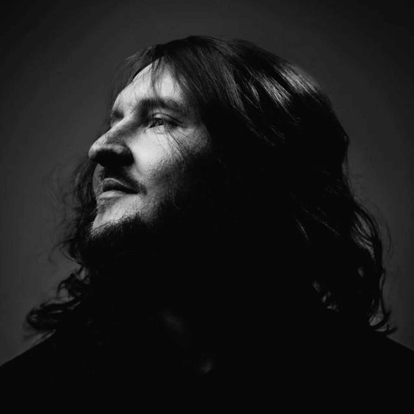 Piotr Wiese Brand Page