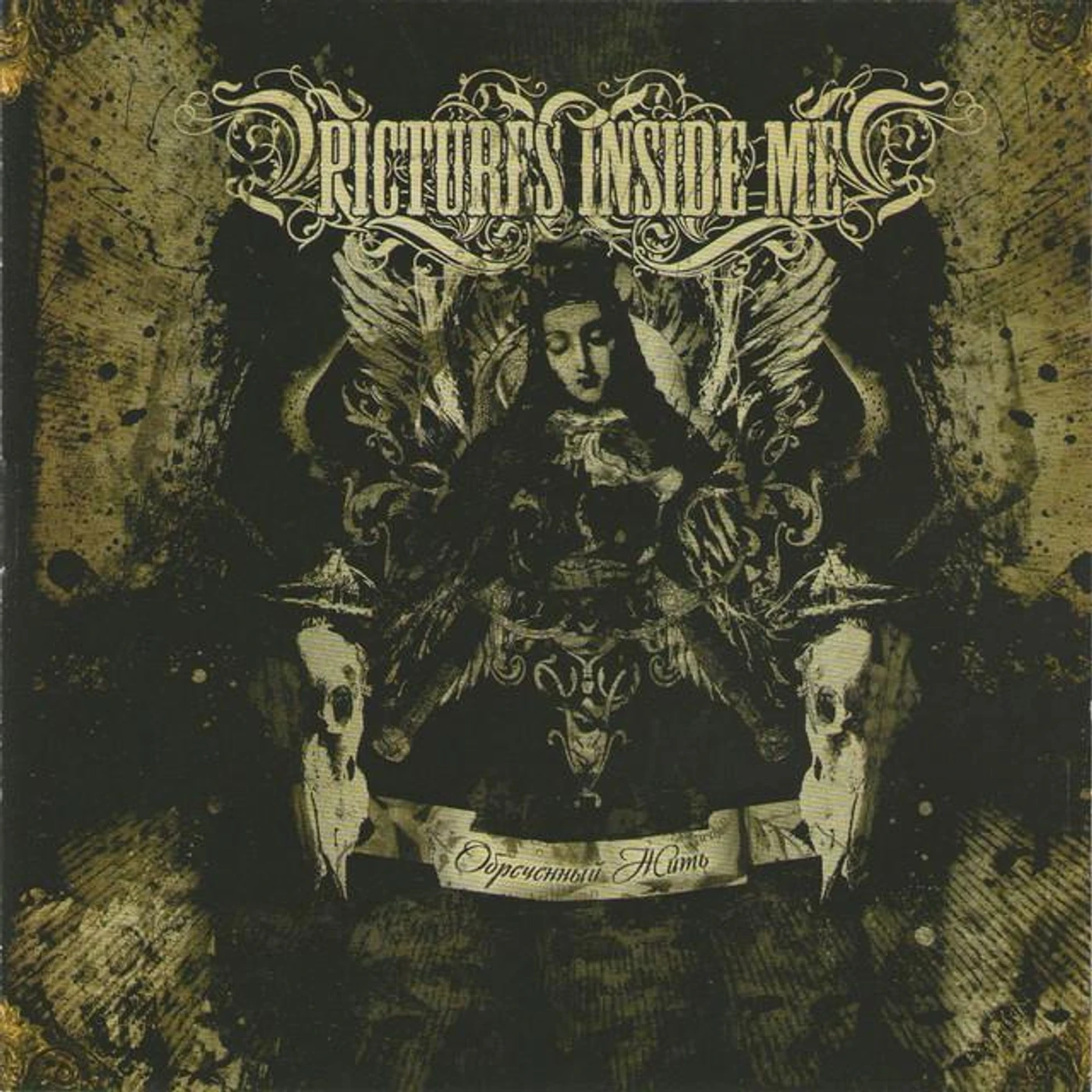 Pictures Inside Me