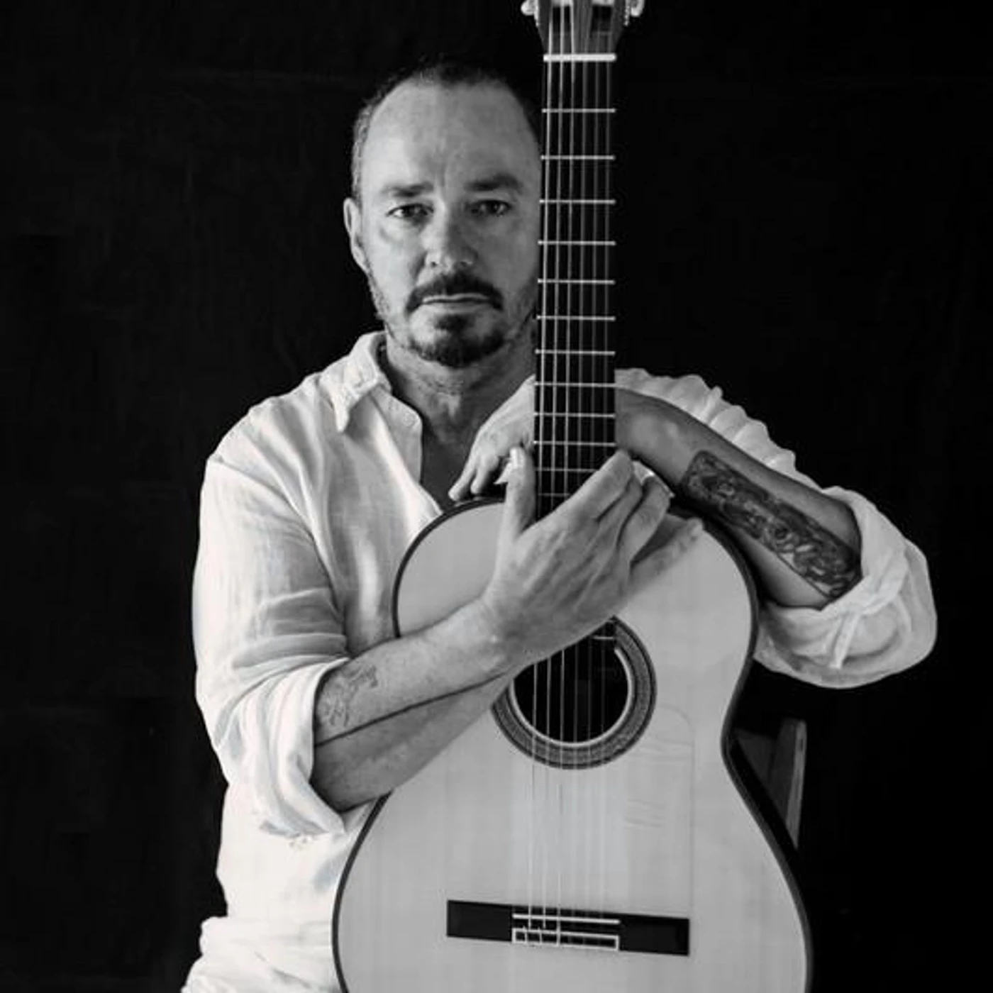 Pierre Aderne Brand Page