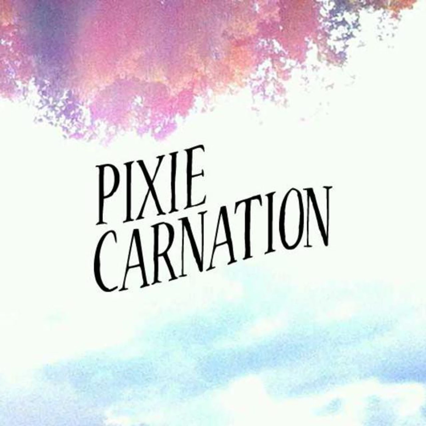 Pixie Carnation Brand Page