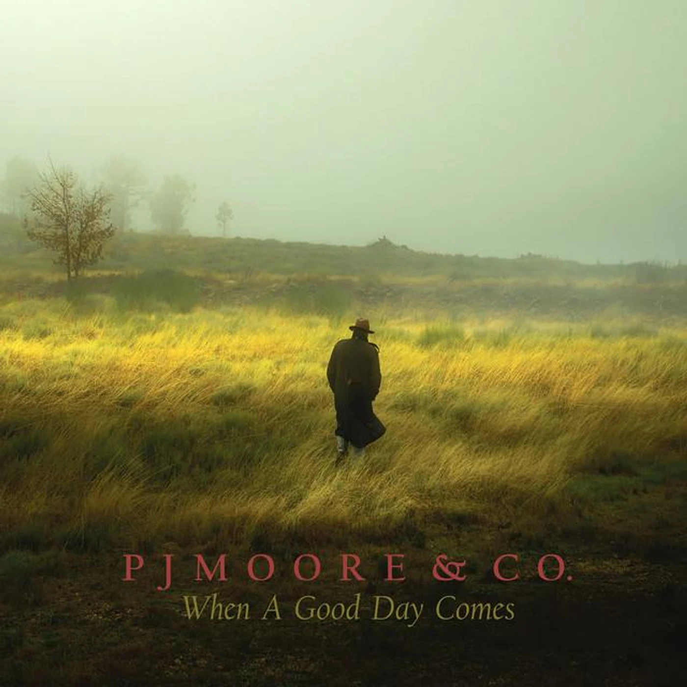 PJ Moore & Co Brand Page