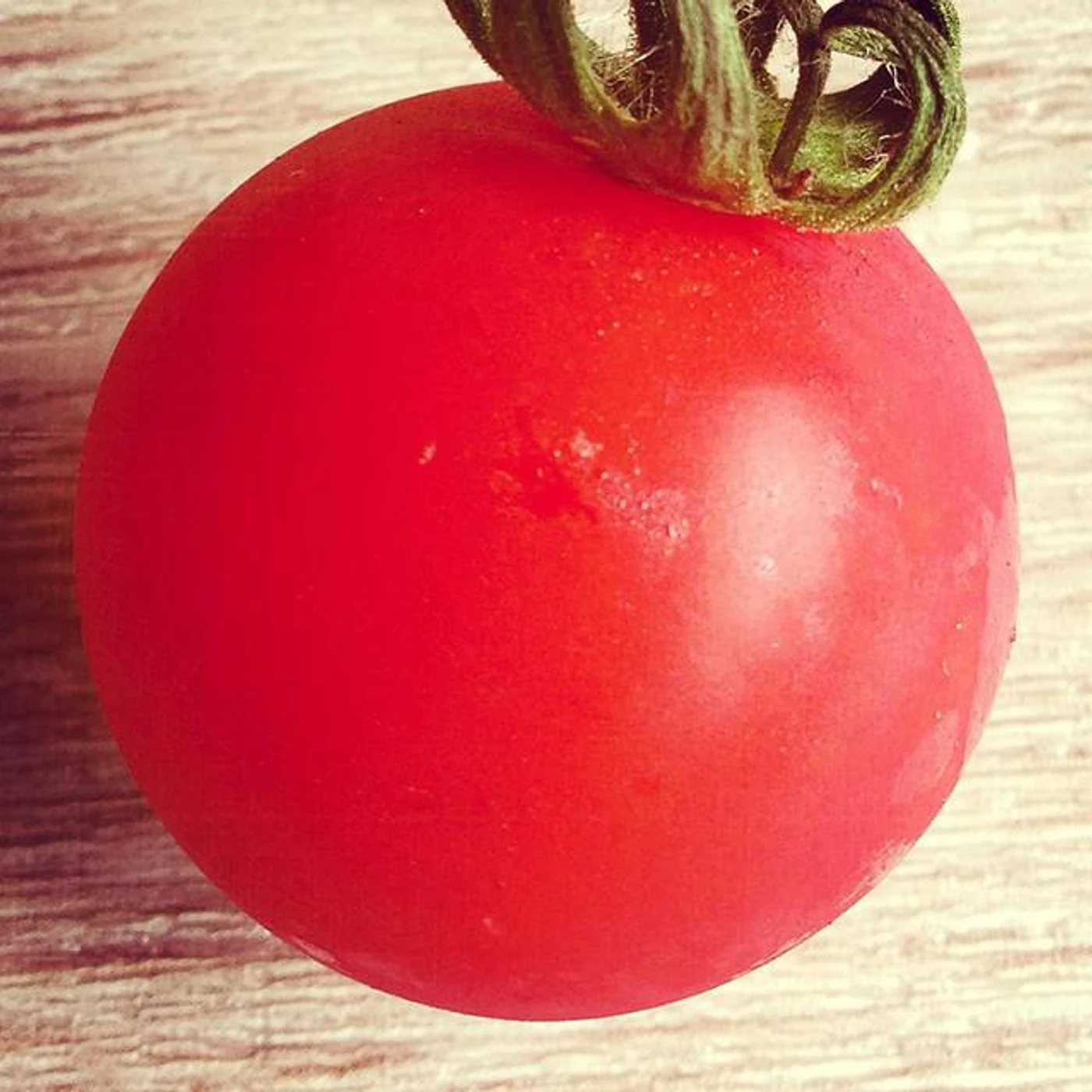 pomodorosa Brand Page