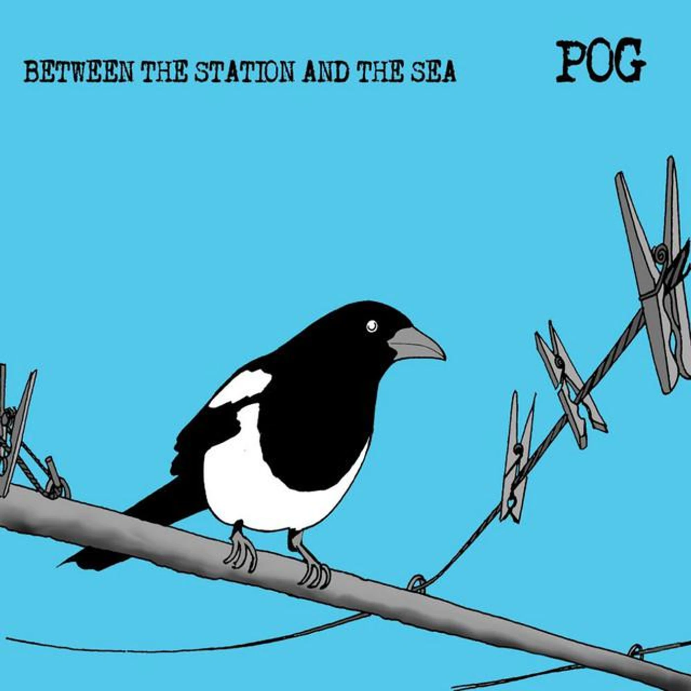 Pog Brand Page
