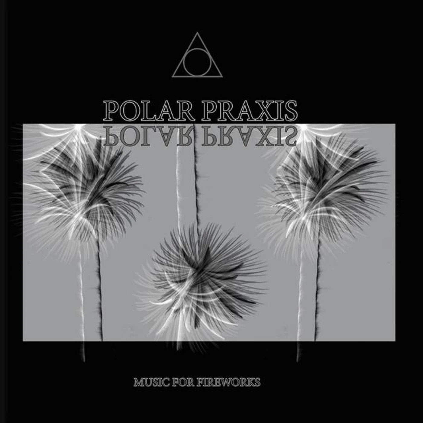 Polar Praxis Brand Page
