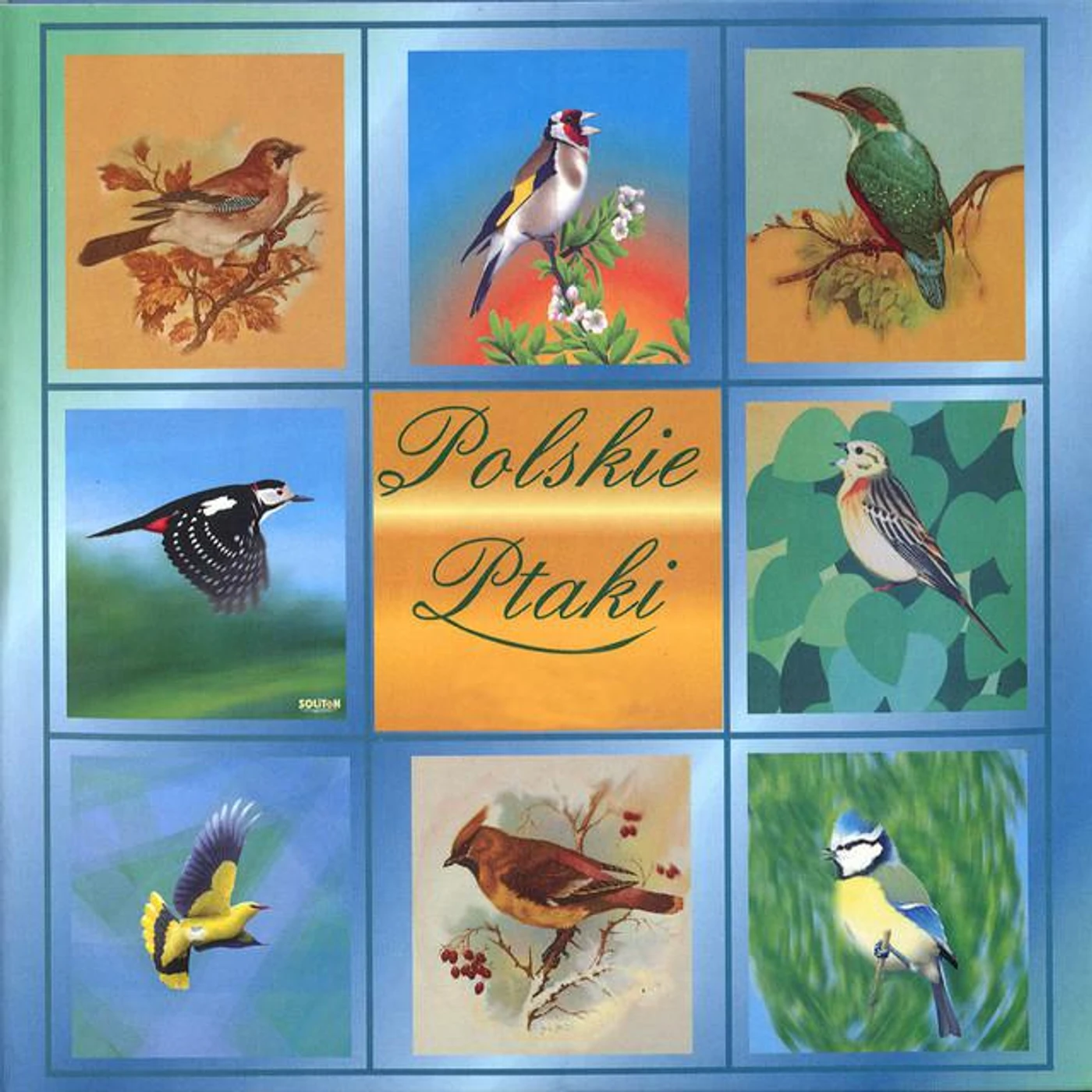 Polskie Ptaki Brand Page