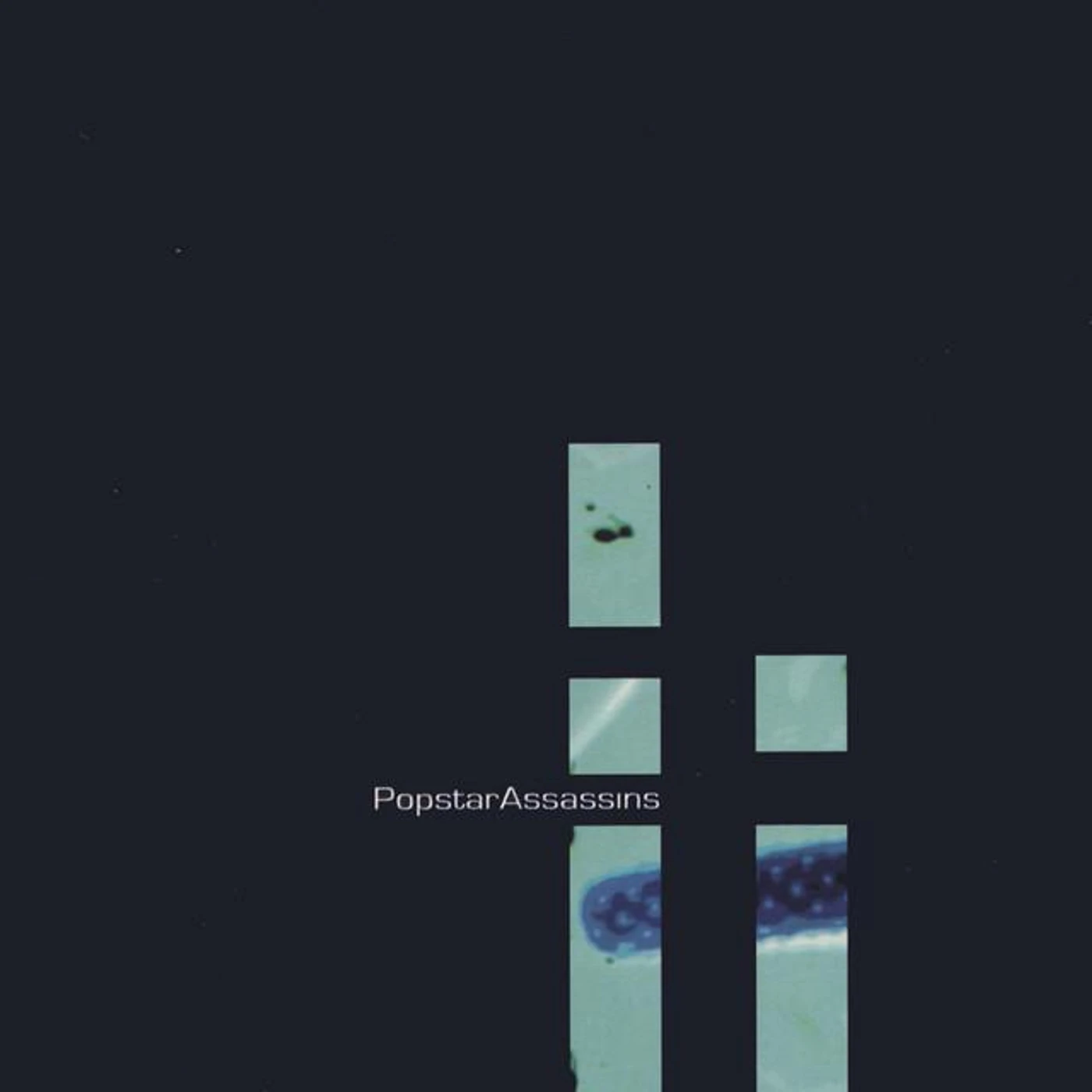 Popstar Assassins Brand Page