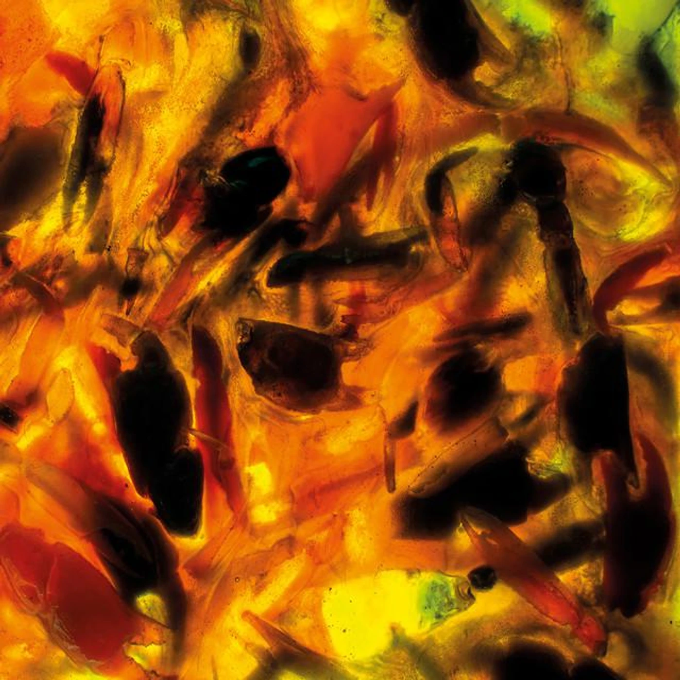 Plague Rider Brand Page