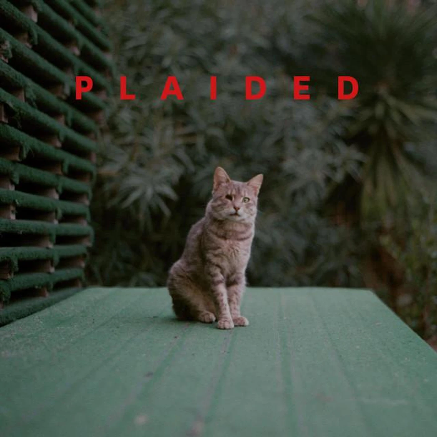 Plaided