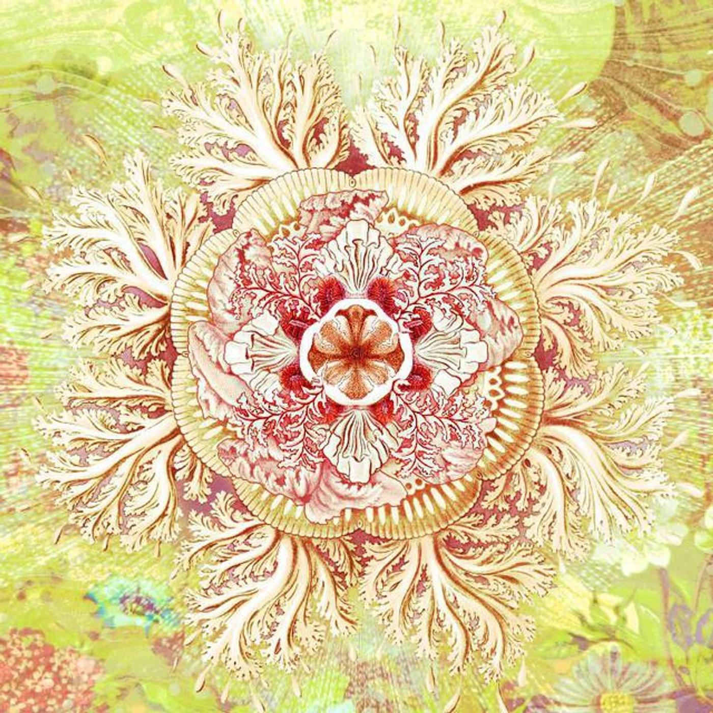 Plastic Bubble Brand Page