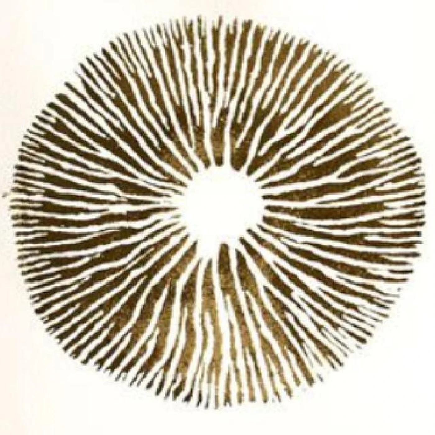 Psilosamples Brand Page