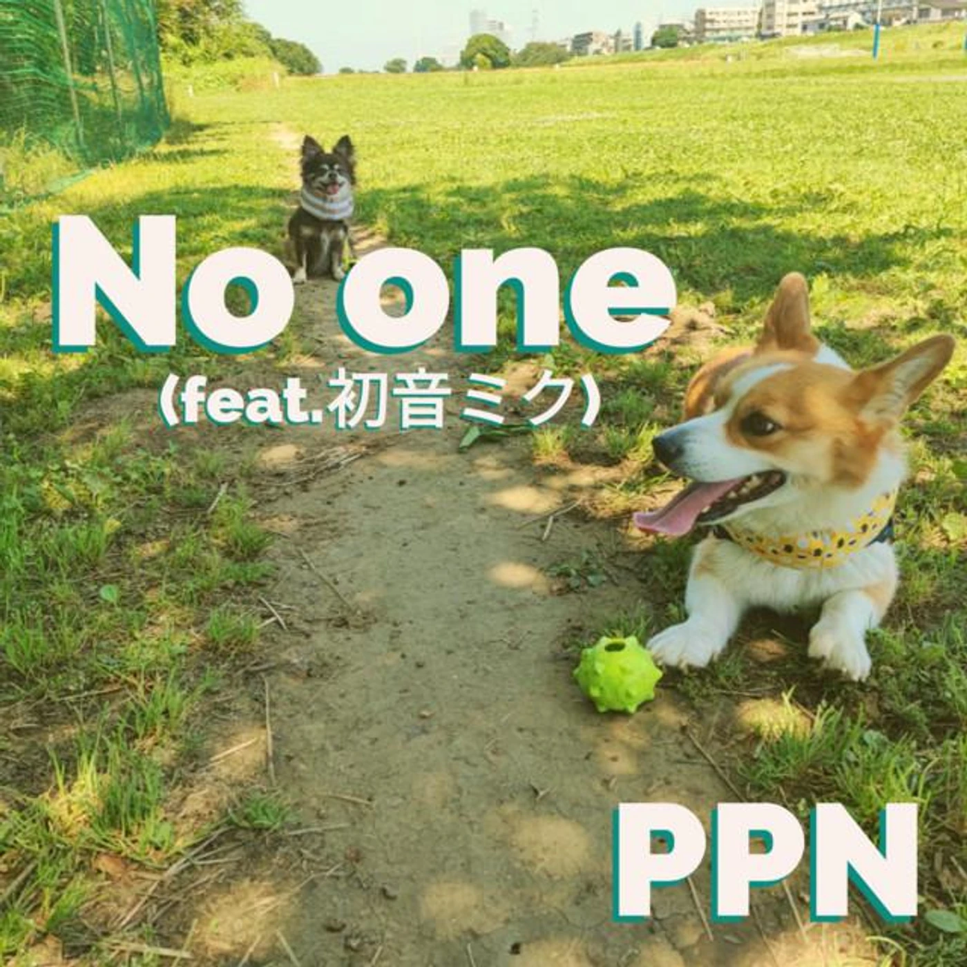 PPN