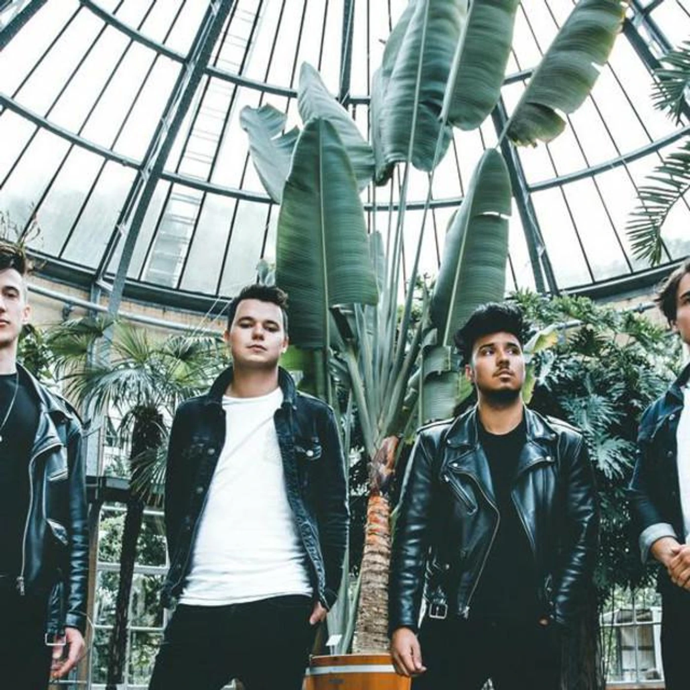 Project Bongo Brand Page