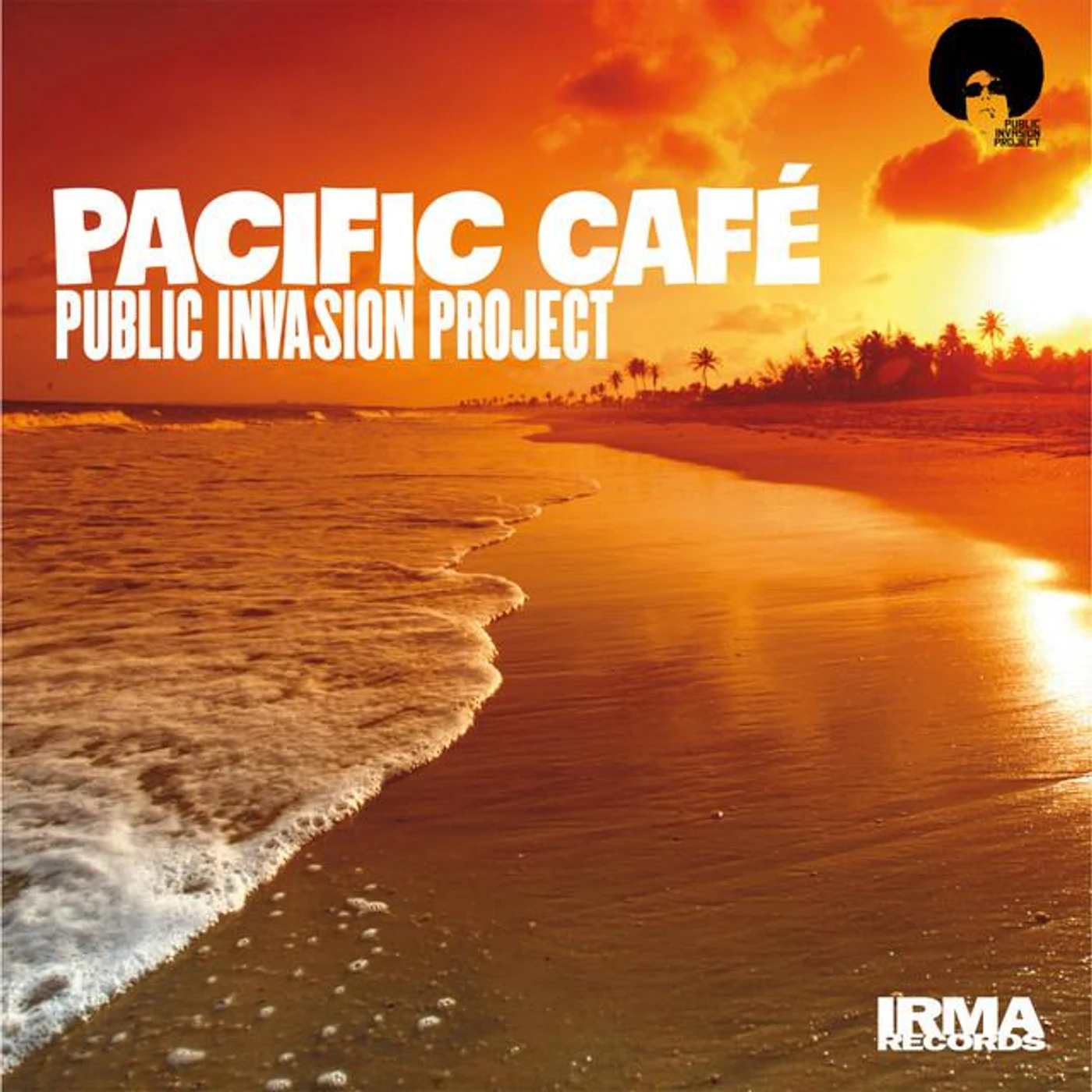 Public Invasion Project Brand Page