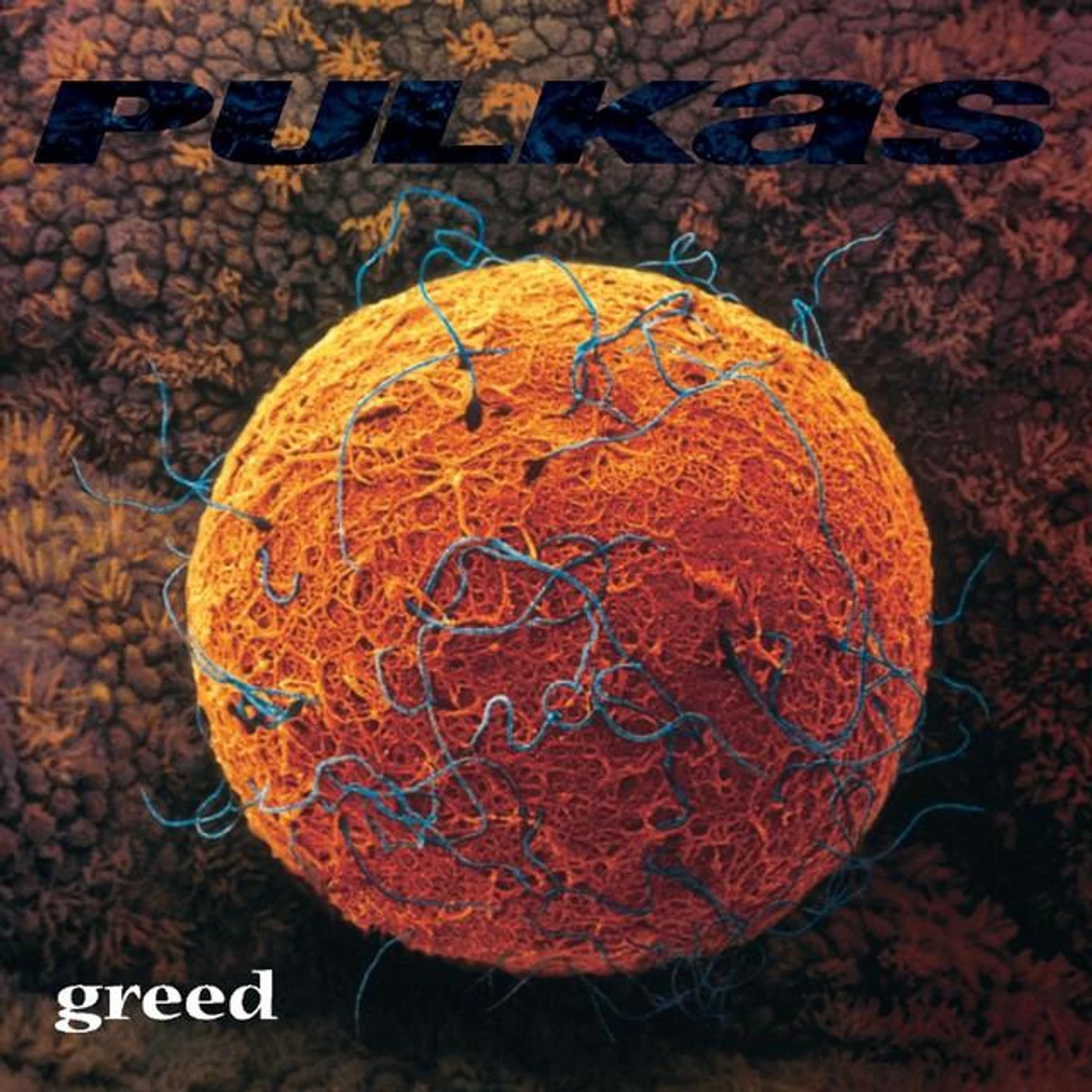 Pulkas Brand Page