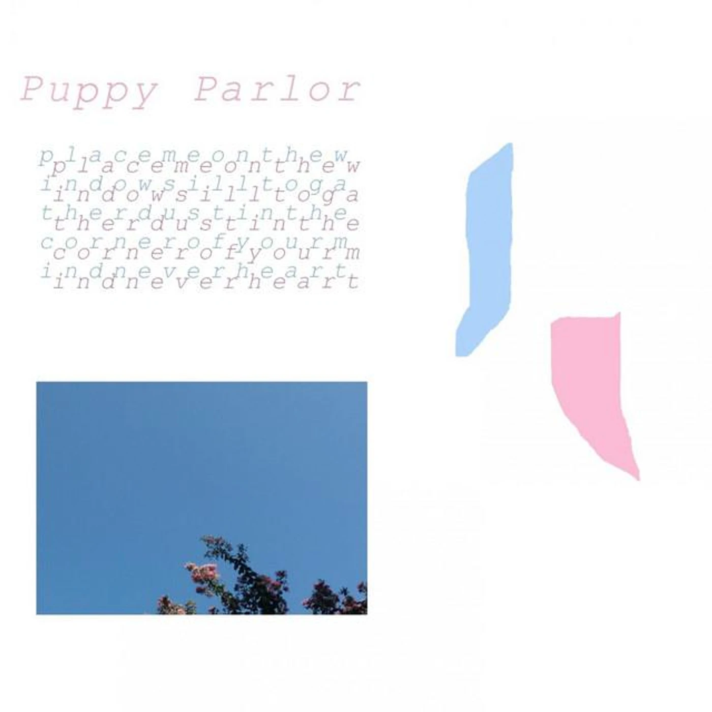 Puppy Parlor