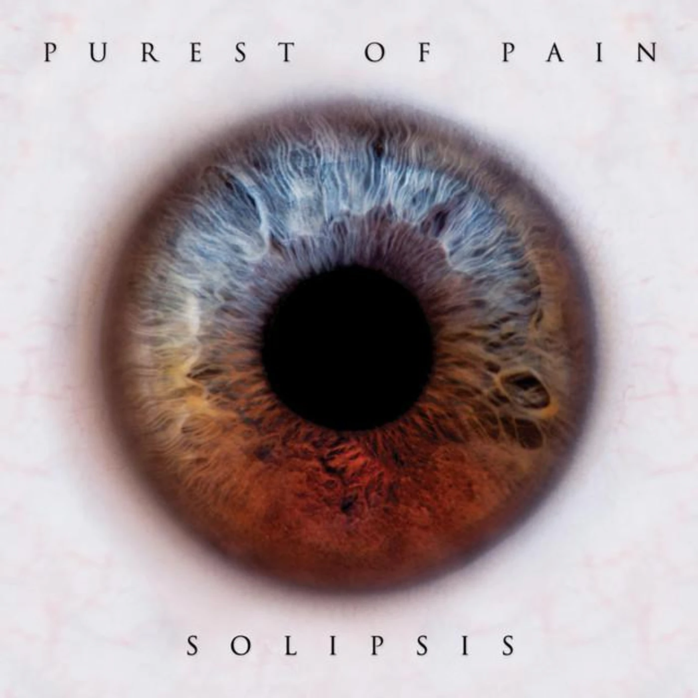 Purest of Pain