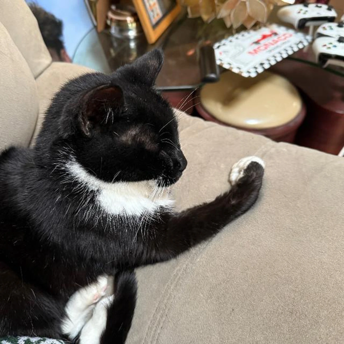 Quando Rondo Brand Page