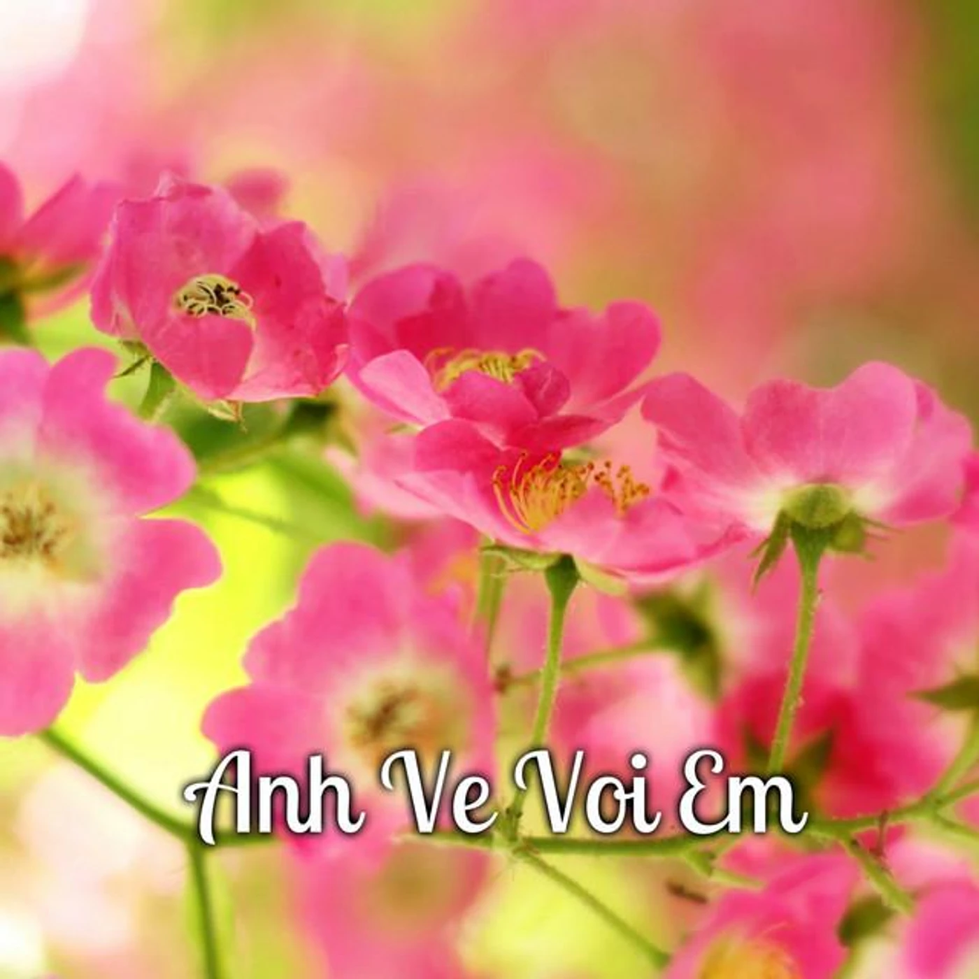 Quang Long