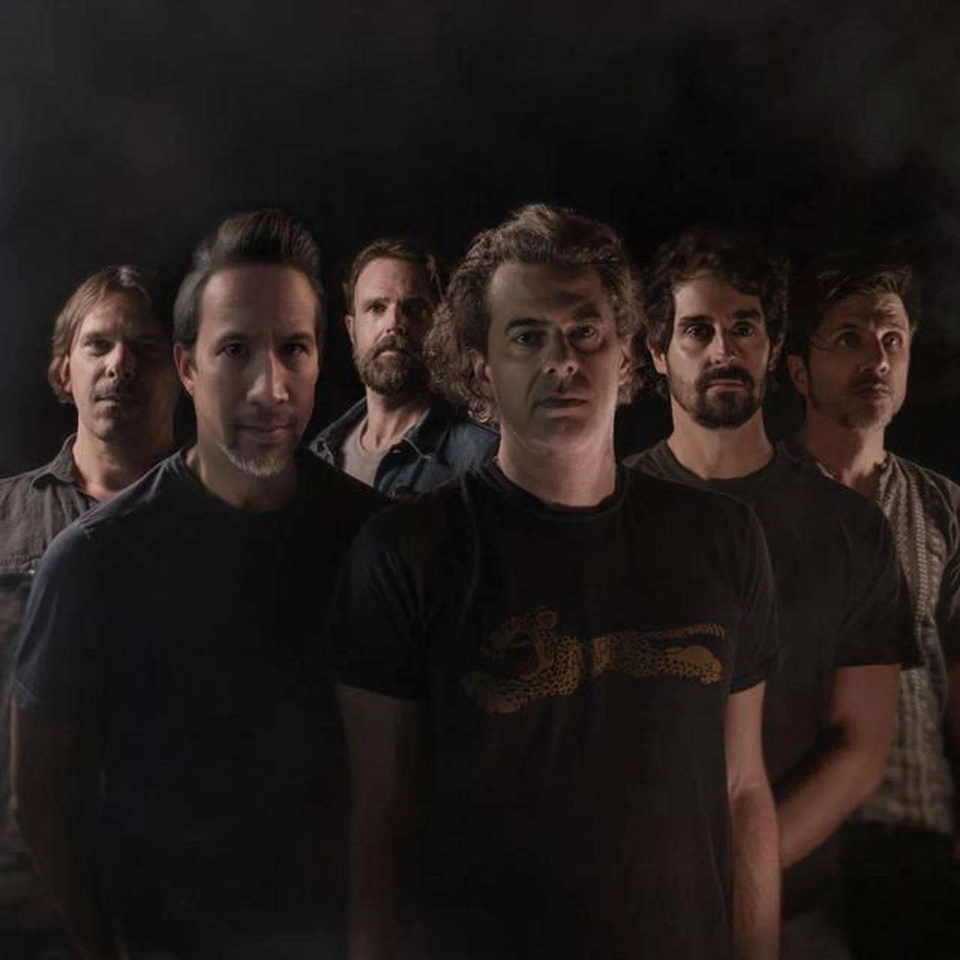 Quiet Hounds Brand Page