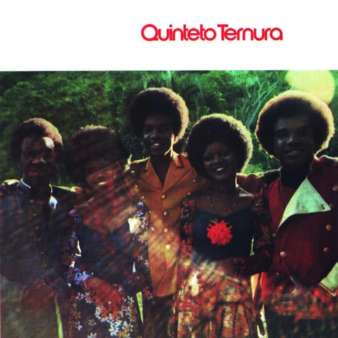 Quinteto Ternura Brand Page