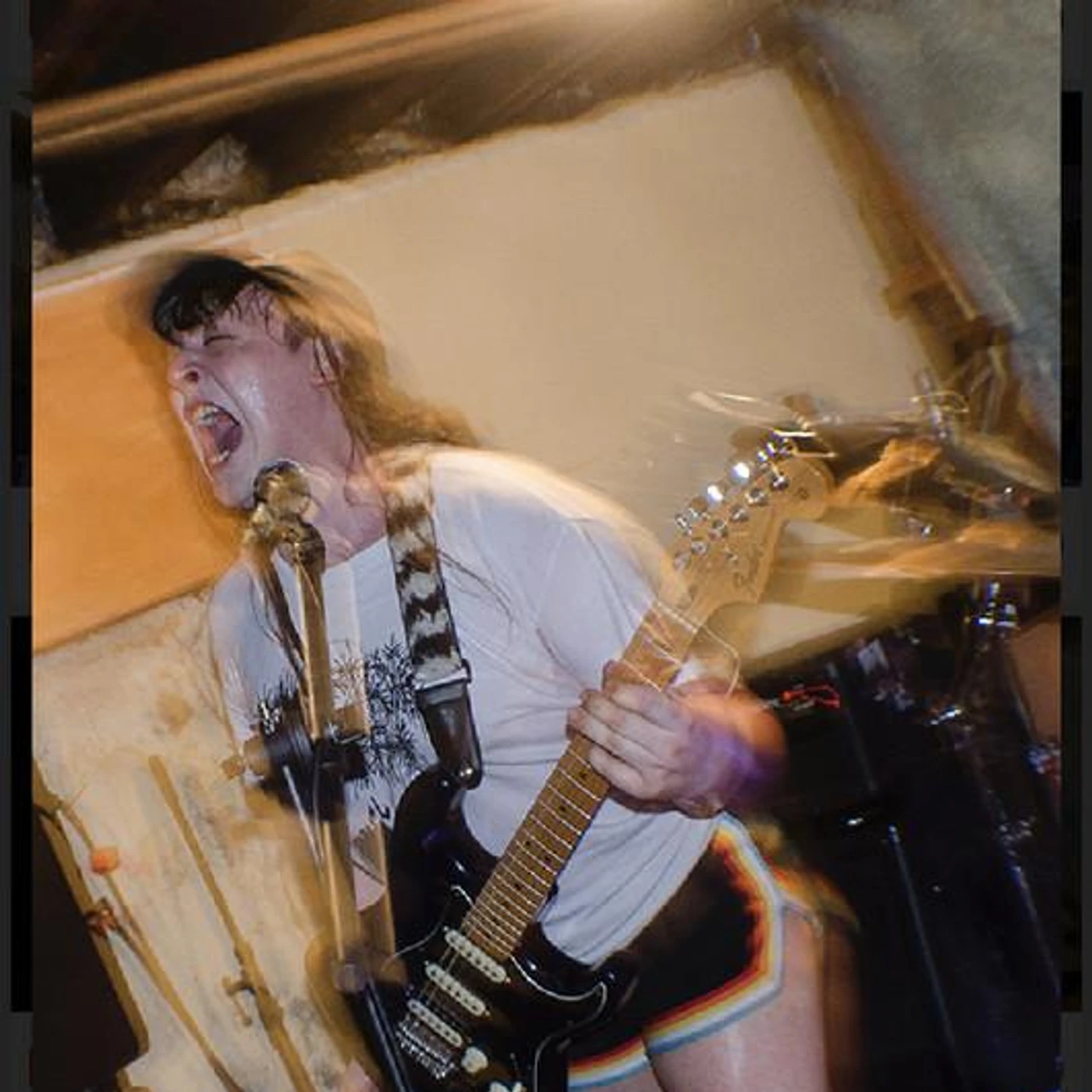 R.O.T.W.L.C.F.T.S.C.B.M.H. Brand Page