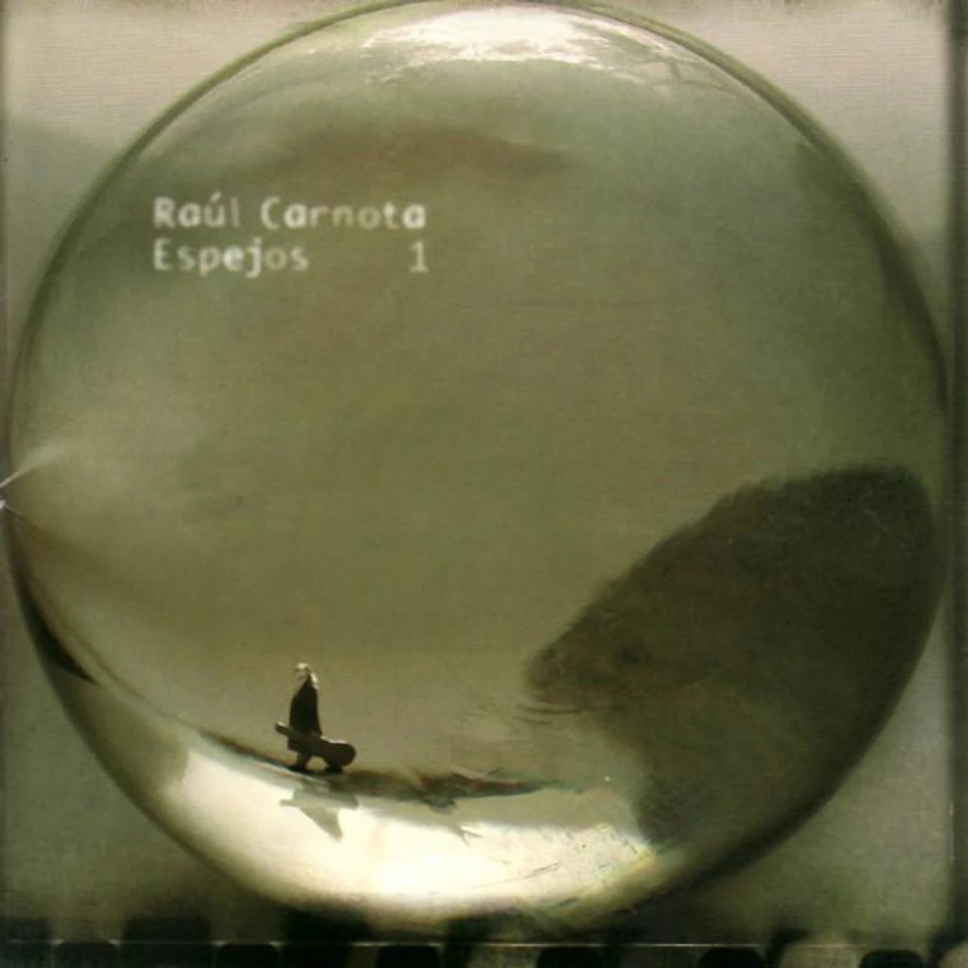 Raúl Carnota Brand Page