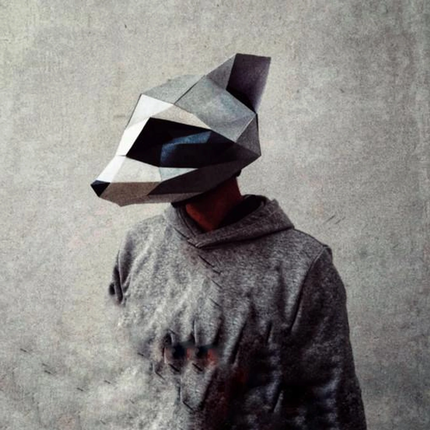 Raccoon With a Groovebox Brand Page