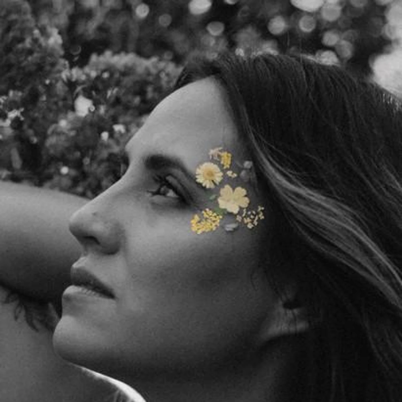 Rachael Lampa Brand Page