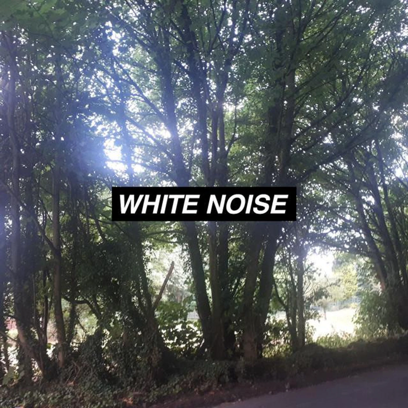 Rain Noise Collectors Brand Page