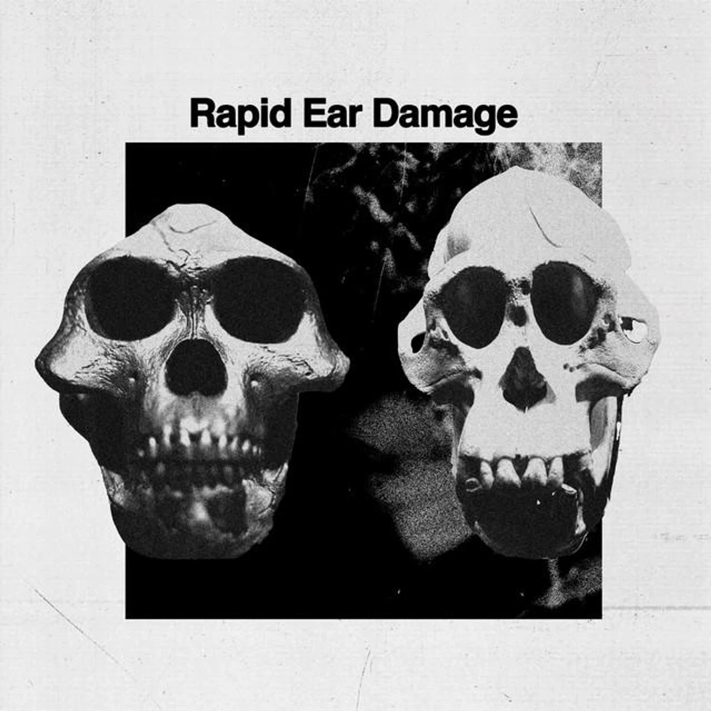 Rapid Ear Damage Brand Page