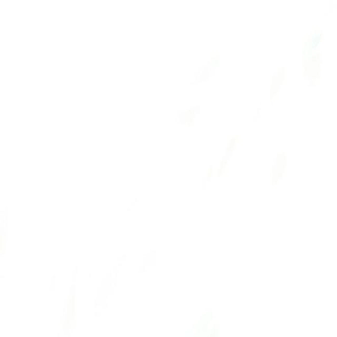 Rapisarda Brand Page