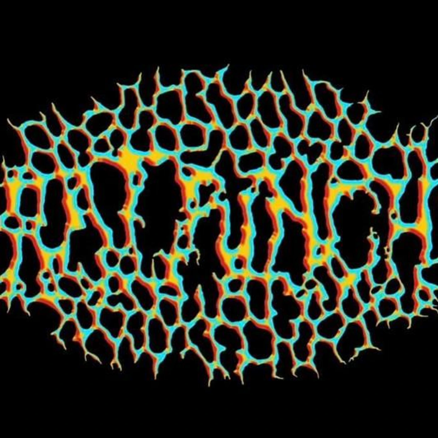 Rat Punch Brand Page