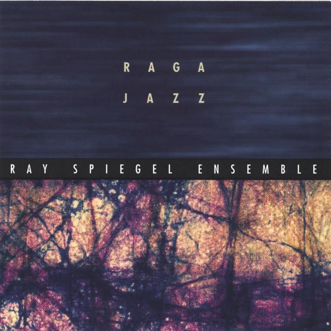 Ray Spiegel Brand Page