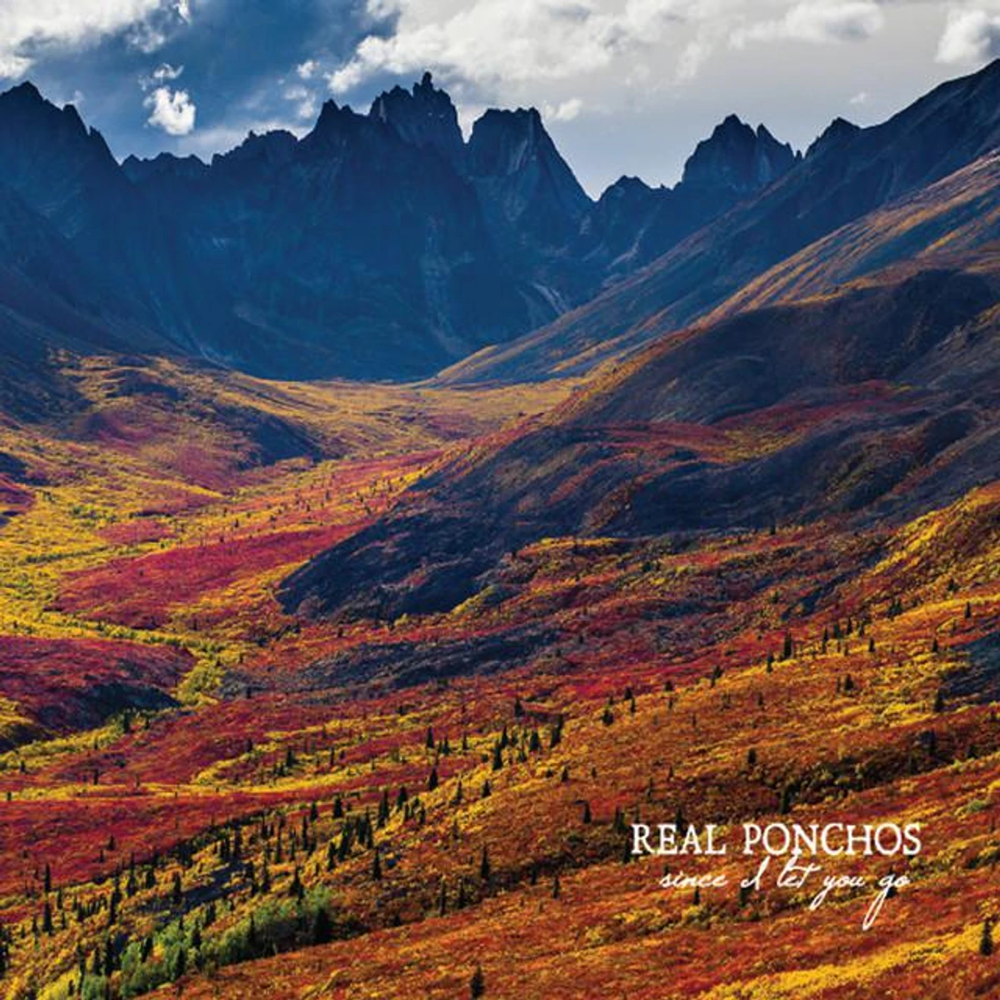 Real Ponchos