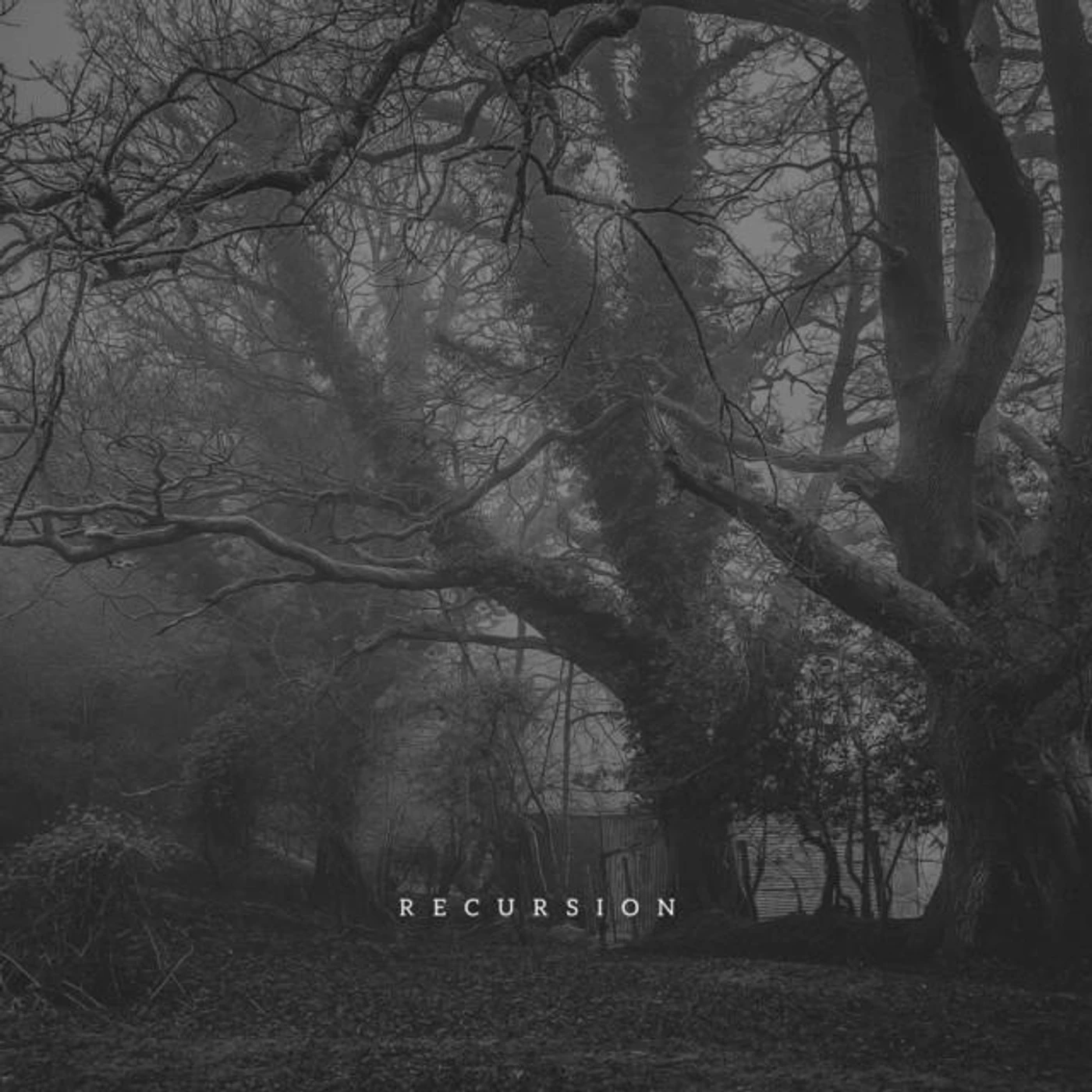 Recursion Brand Page