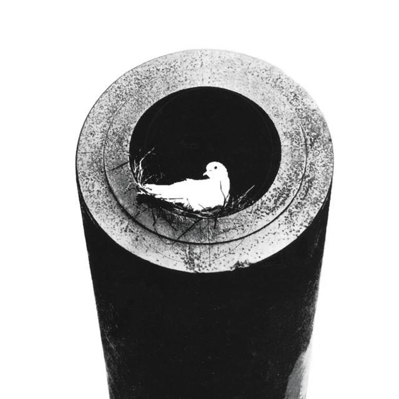 Red Doves Brand Page