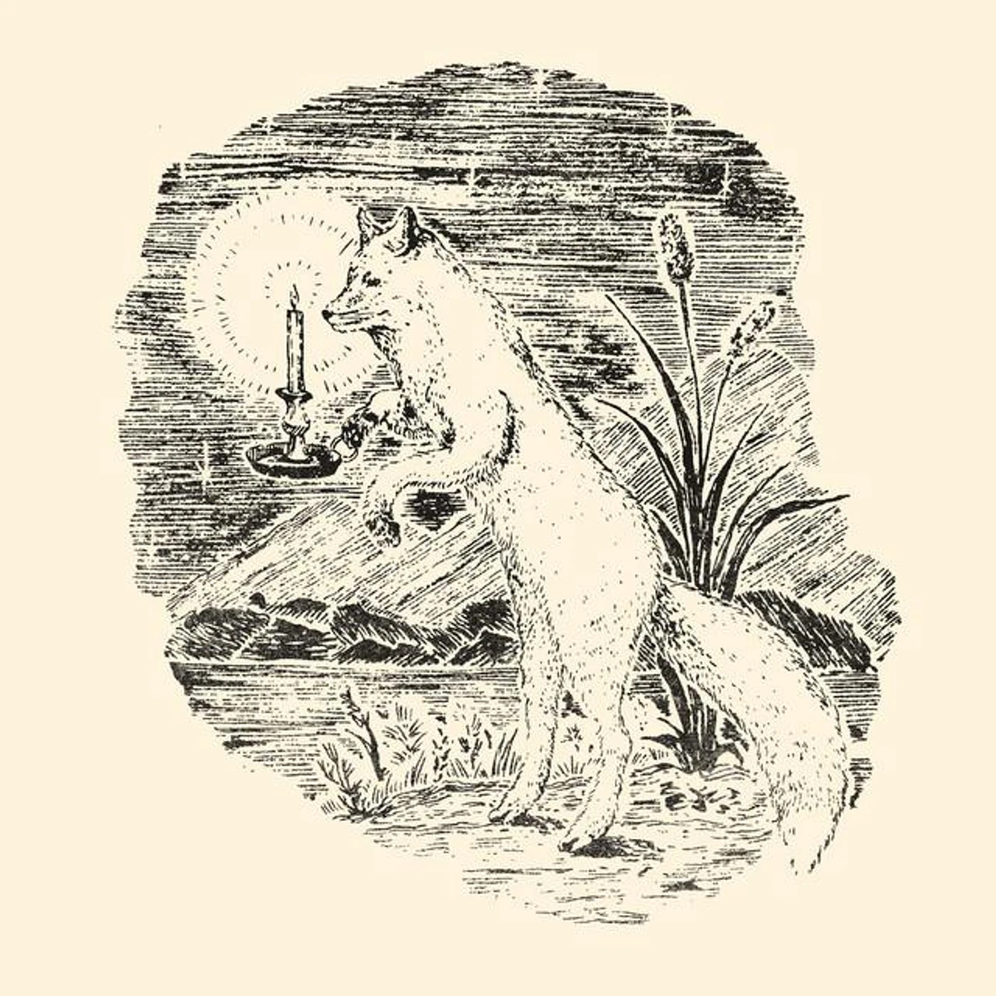 Rima Kato Brand Page