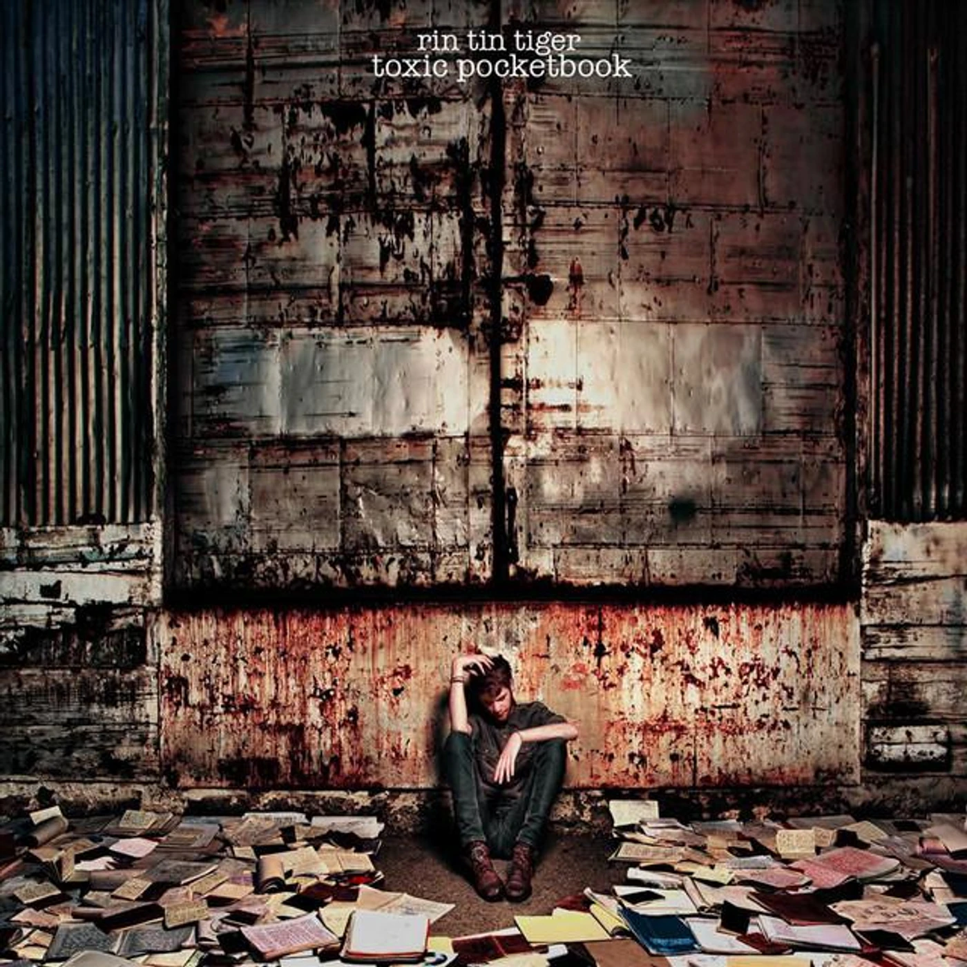 Rin Tin Tiger Brand Page