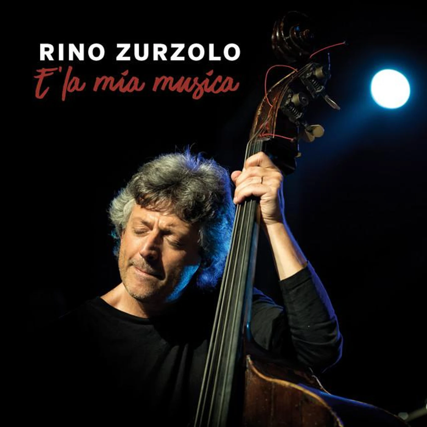 Rino Zurzolo Brand Page