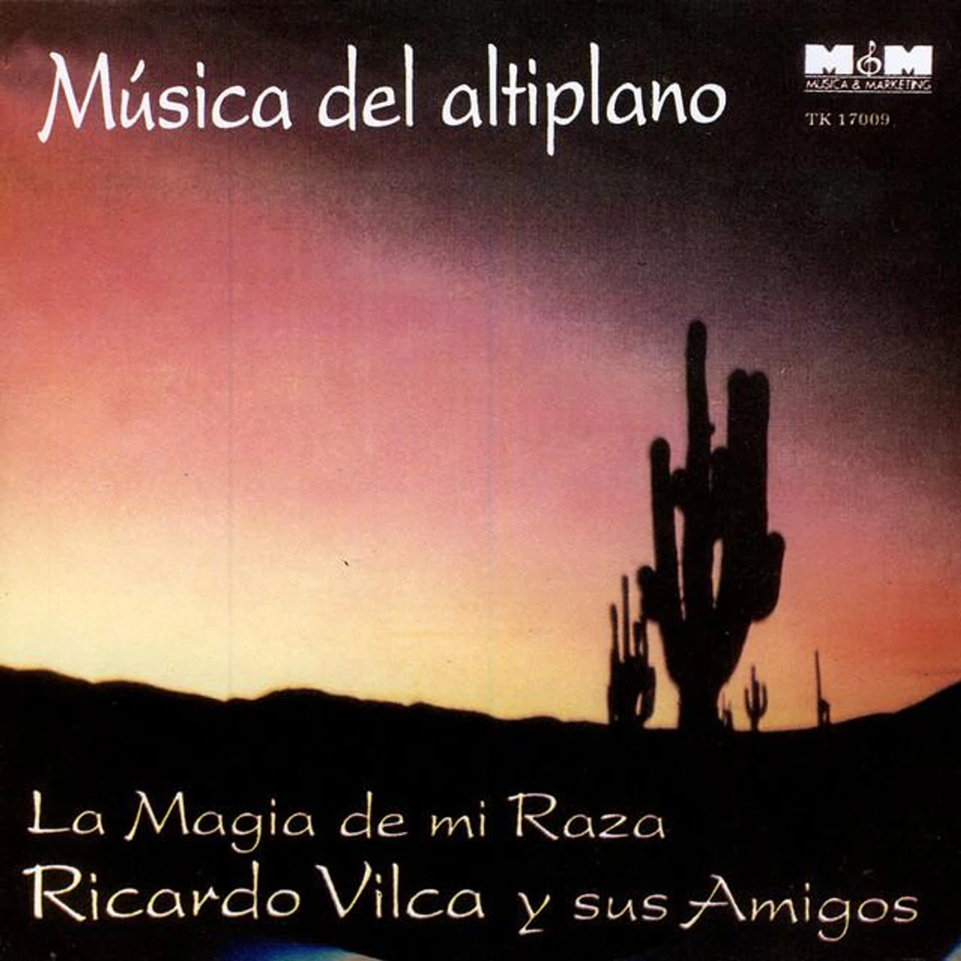 Ricardo Vilca Y Sus Amigos Brand Page