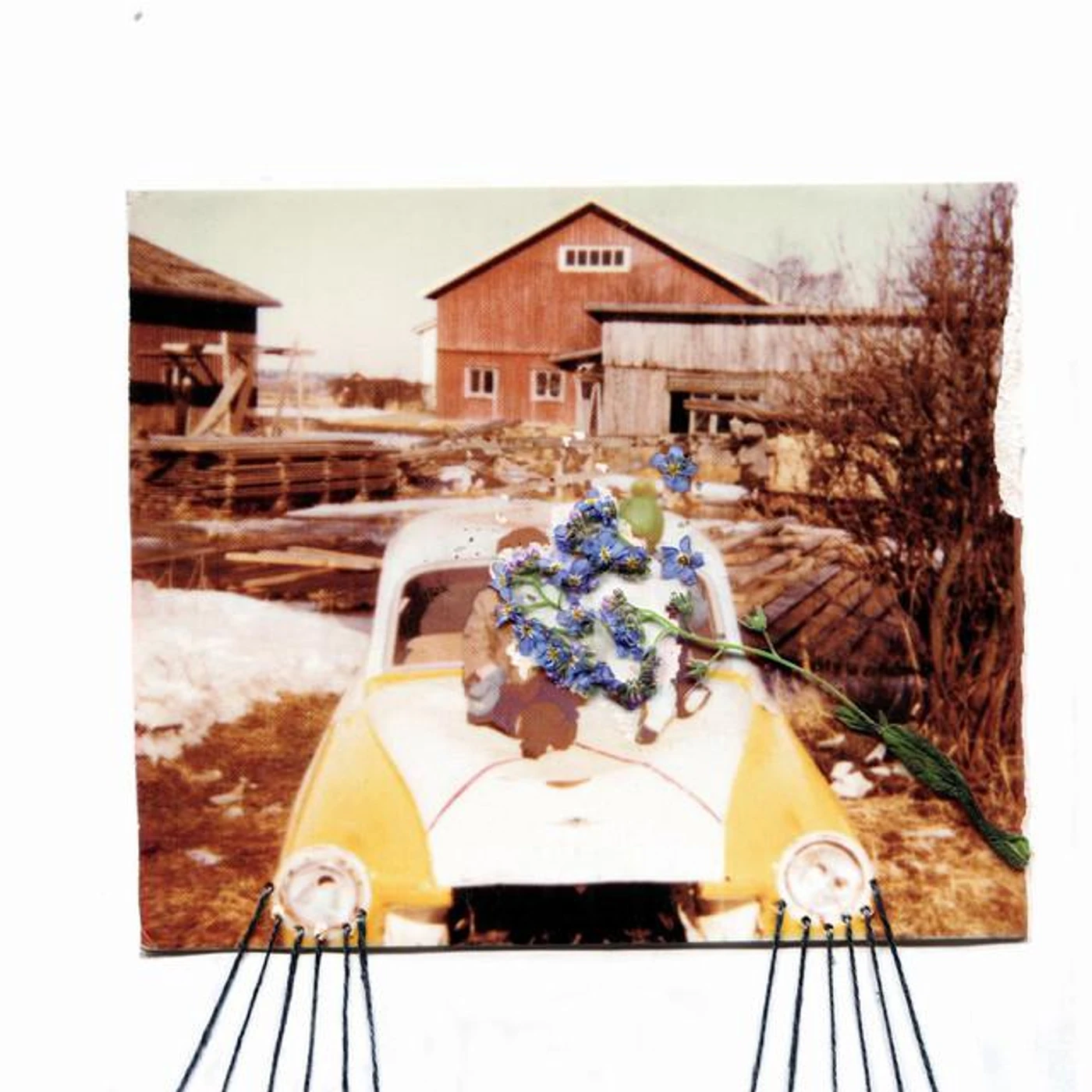 Rickard Eklund Brand Page