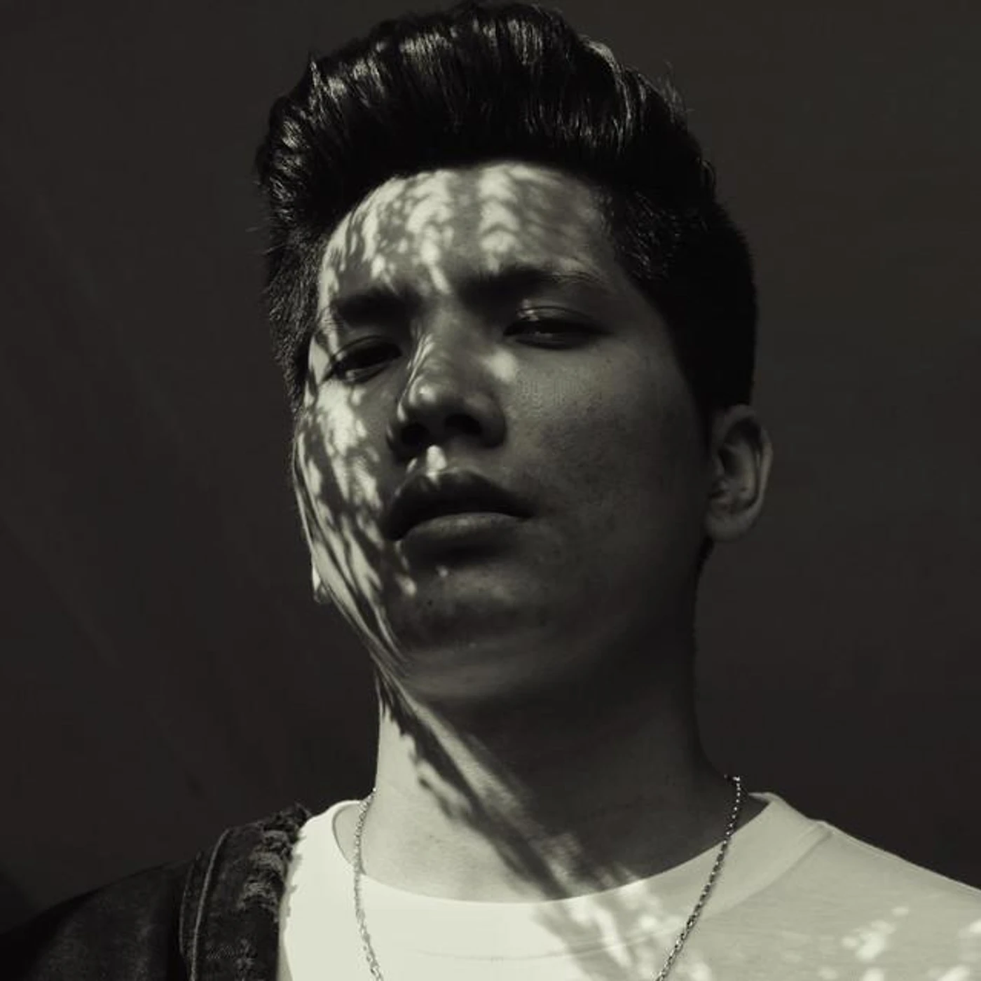 Rigzen Lama Brand Page