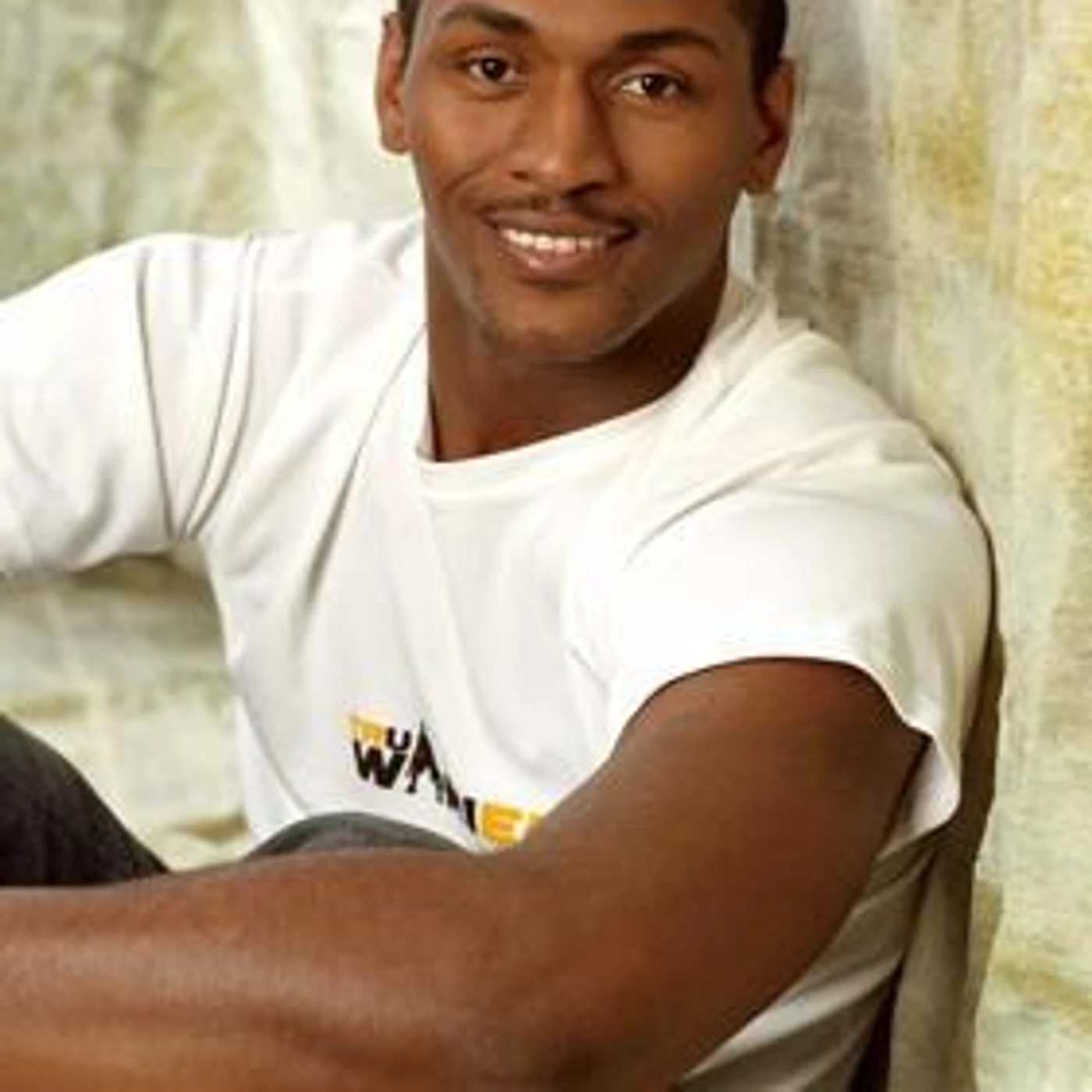 Ron Artest Brand Page