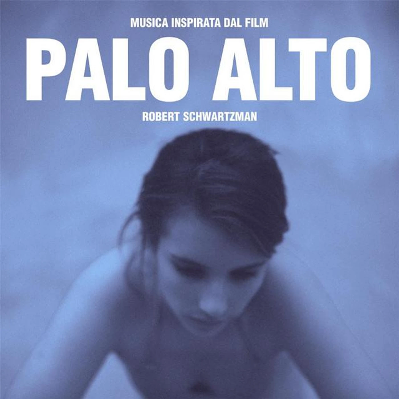 Robert Schwartzman Brand Page