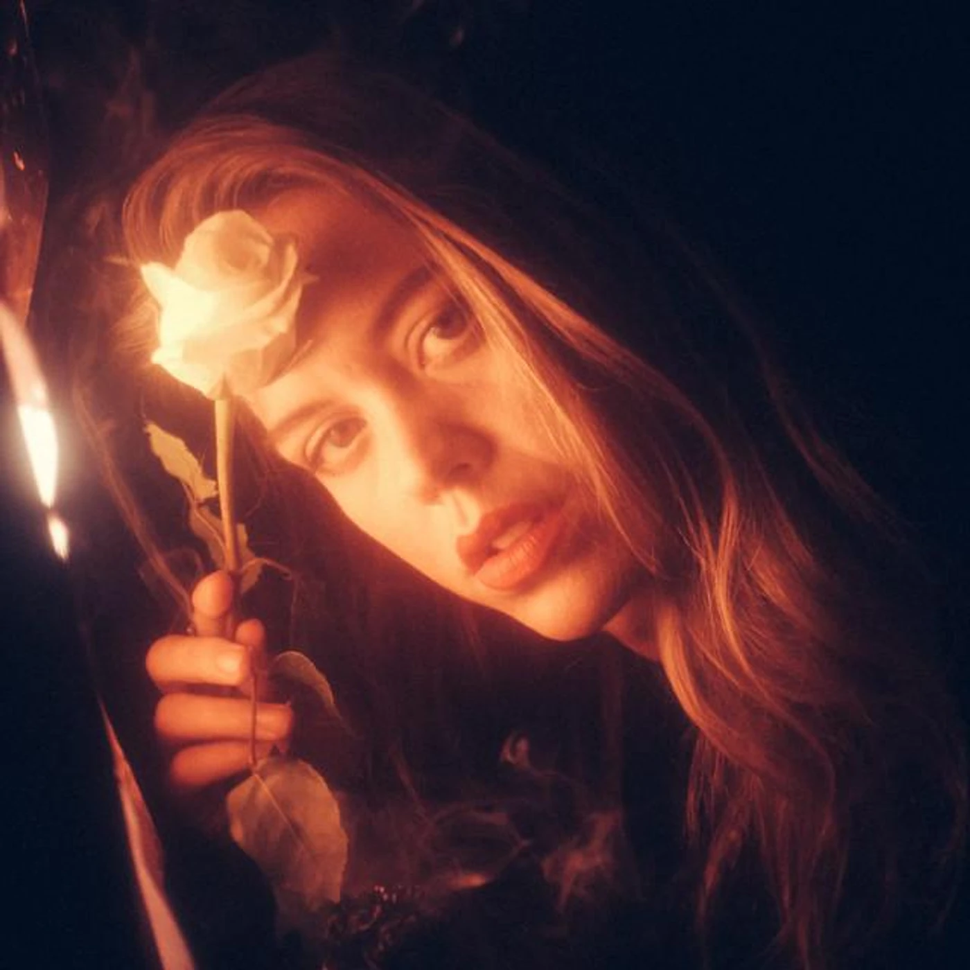 Rose Haze Brand Page