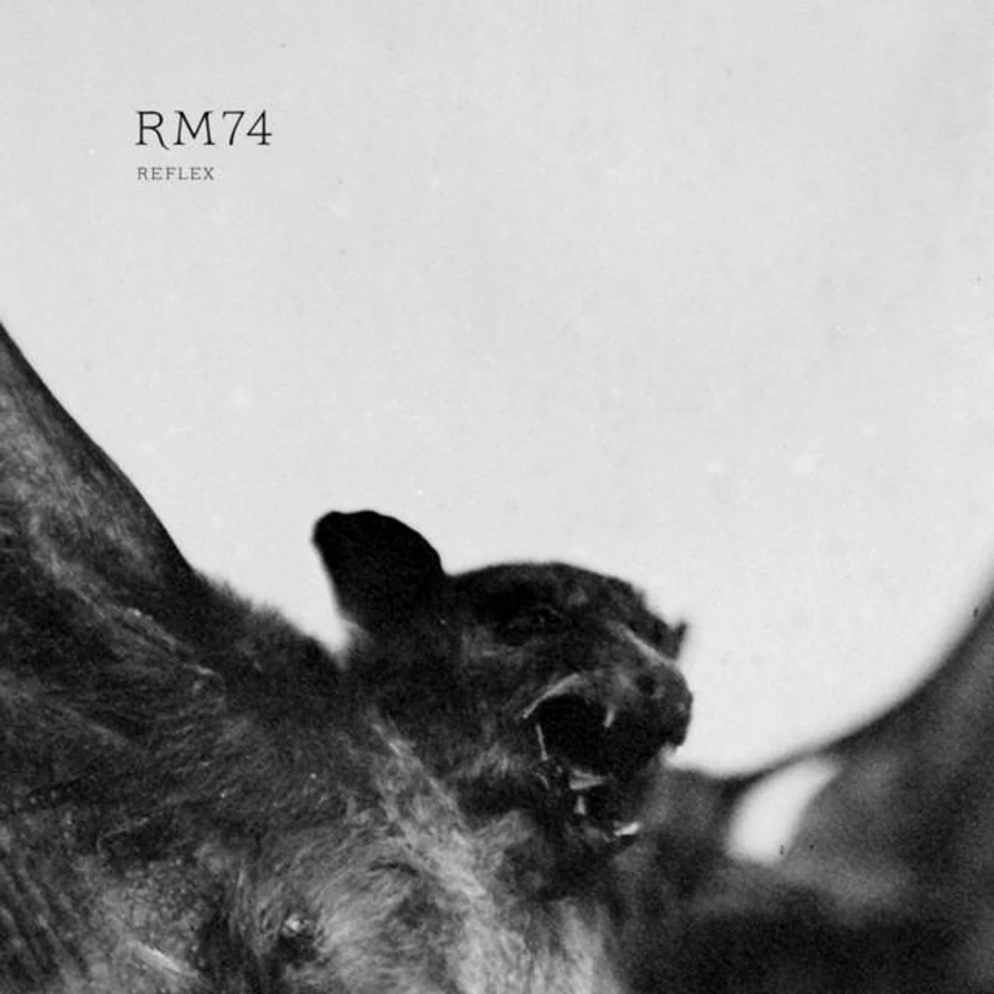 Rm74